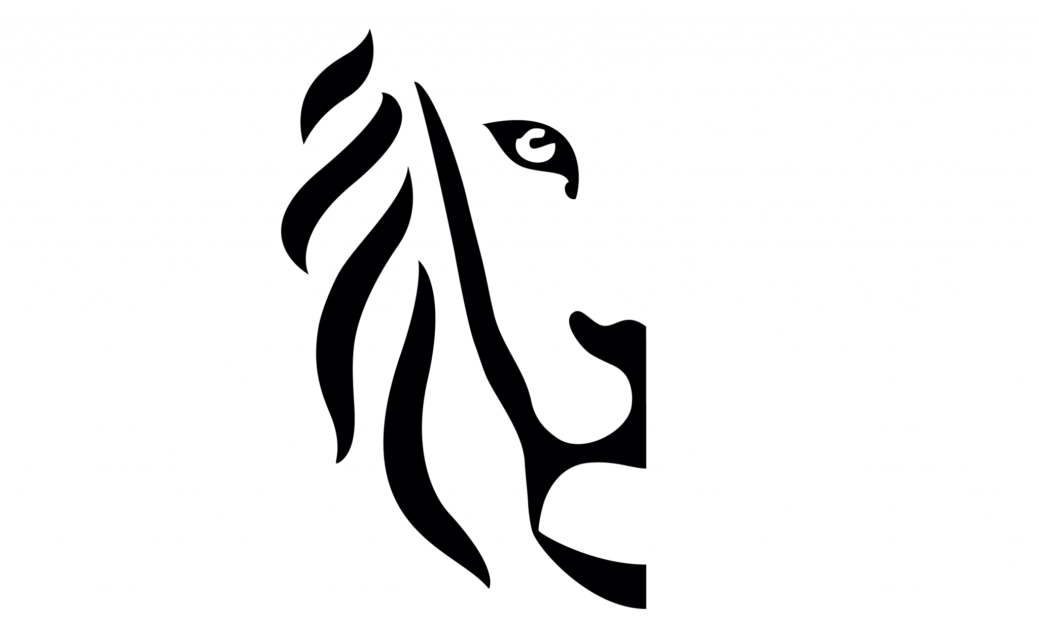 website-trevion-turteltaks