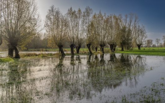 PatrickDeStercke_thumbnail_Kale vallei 19-11-2023 002 LR